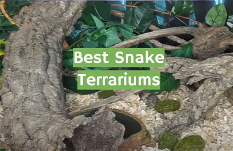 Top 5 Best Snake Terrariums 2021 Review Reptileprofy