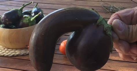 Is That An Eggplant Youre Auctioning Or Are You Just Glad To See Me