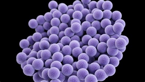 Mrsa Staph Infections Are Preventable But Killed Nearly 20000 In 2017
