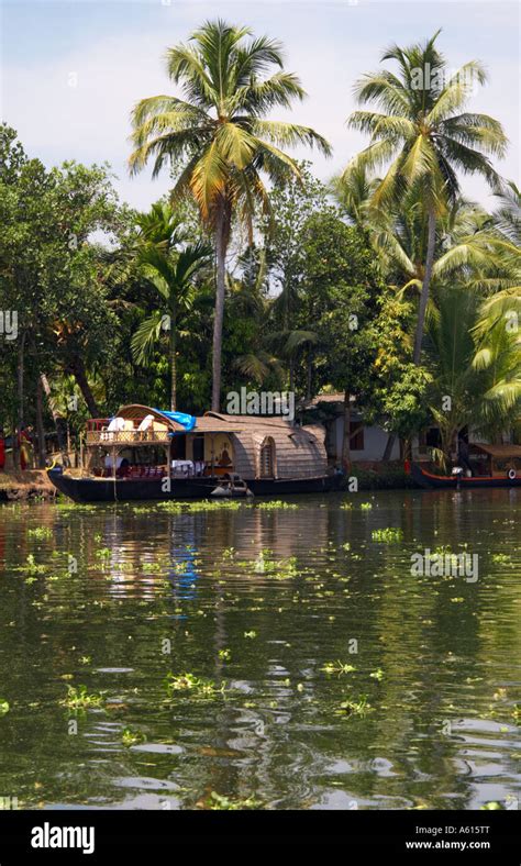 boats palm trees and dense vegetation line the banks of the kuttanad the backwaters of kerala
