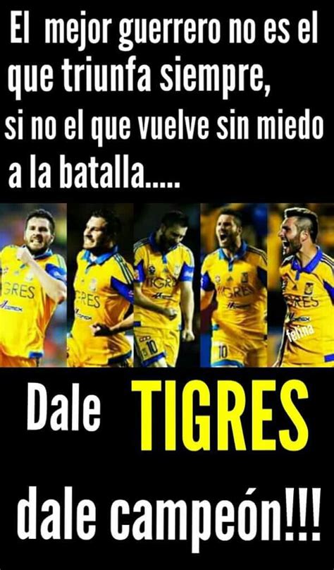 Pin De Danyela Gonzalez En Tigres El Mejor Imagenes De Tigres Uanl