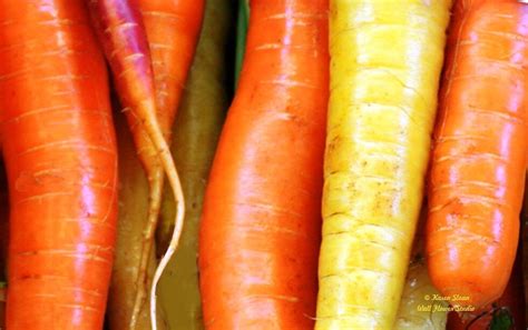 Heirloom Carrot Seed Collection 4 Heritage Varieties Etsy