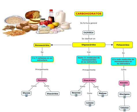 Best Mapa Conceptual Sobre El Metabolismo De Los Carbohidratos Simple Images And Photos Finder