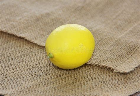 Fresh Round Sour Yellow Lemons Stock Photo Image Of Lemons Bright
