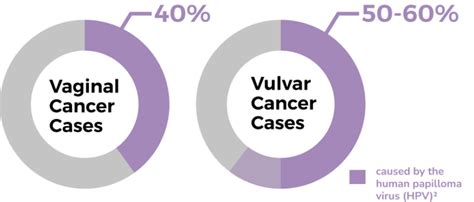 Vaginal And Vulvar Cancer Gynecologic Cancer Initiative
