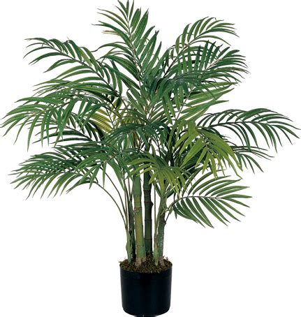 trees in pots - Google Search | Silk plants, Artificial tree, Faux plants png image