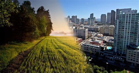 Urban Vs. Rural Living: Which is More Fulfilling in Today's World? - My ...