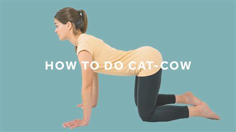 How To Do Cat Cow Yoga Pose Jenyoga Youtube