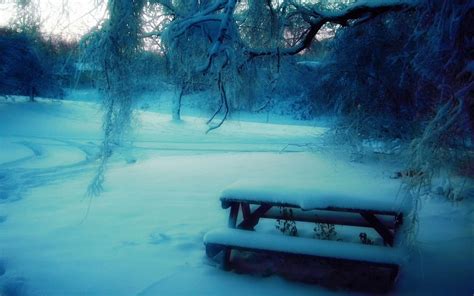 nature, Winter, Snow, Frozen, Bench, Rivers Wallpapers HD / Desktop and ...