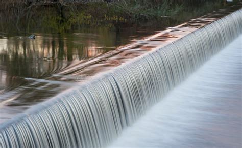 Flowing Water Cascading Over A Weir On Yorkshire River Royalty Free