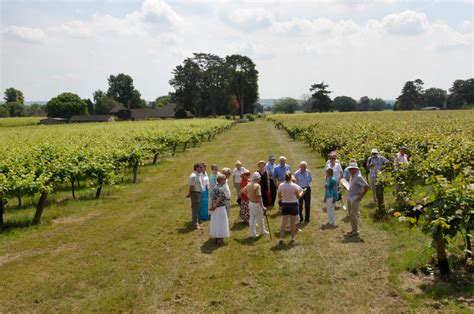 Vineyard Tours And Wine Tastings