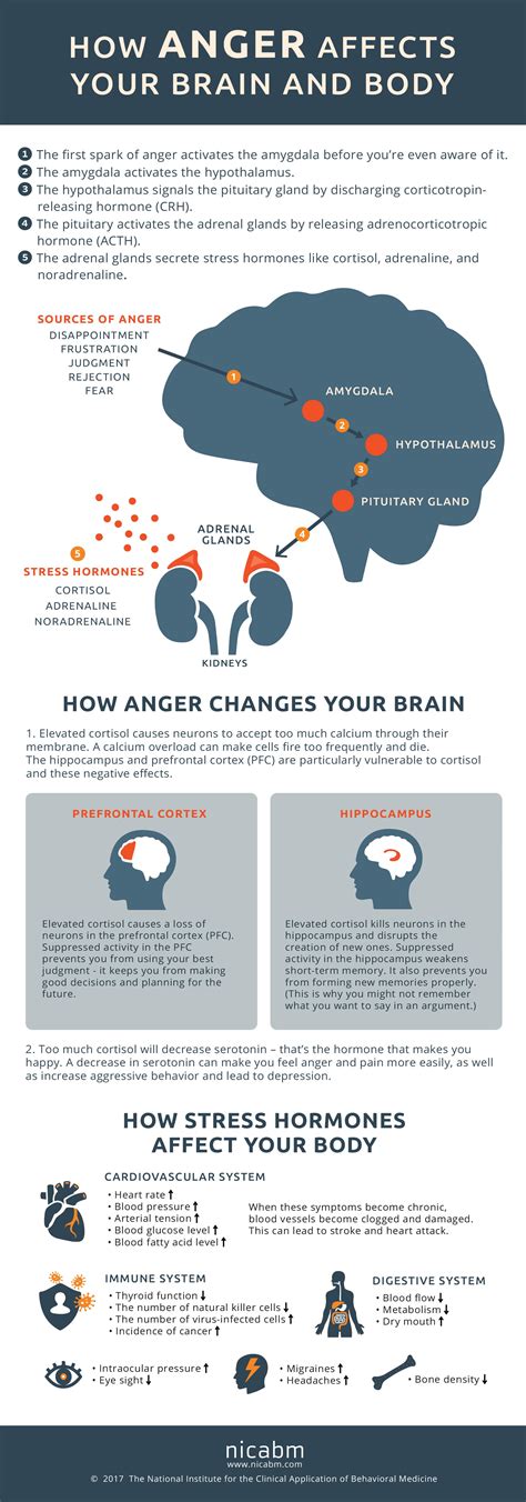 How Anger Affects The Brain And Body Infographic Personal Excellence