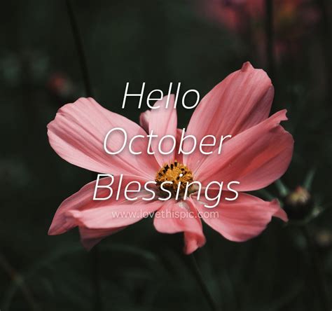 Pink Composites Hello October Blessings Pictures Photos And Images