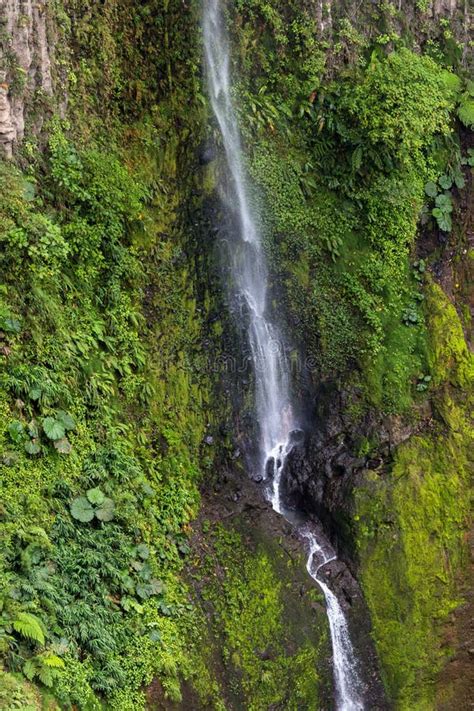 Catarata Del Toro Waterfall Near Poas Volcano Costa Rica Stock Photo