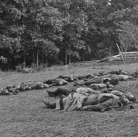 The Chubachus Library Of Photographic History View Of Confederate Dead