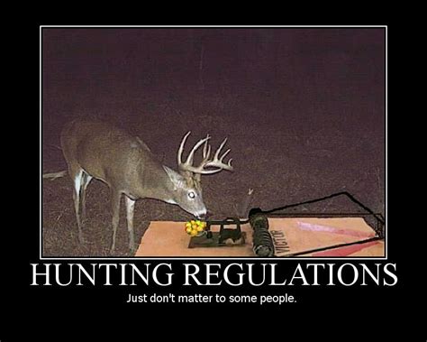 Funny Hunting Quotes And Sayings Quotesgram