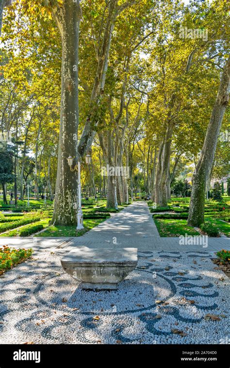 Istanbul Turkey Gulhane Park With Avenue Of Large Trees In Late Summer