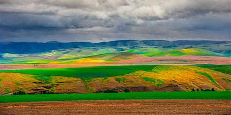 Palouse Hills From Steptoe Butte This View Of The Rolling Palouse