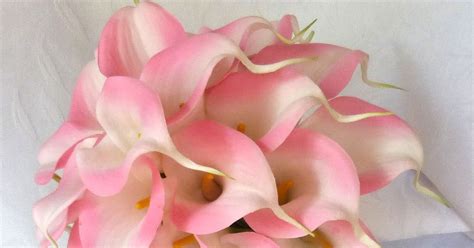 Hawaii Wedding Flowers Pink Calla Lily Bouquet