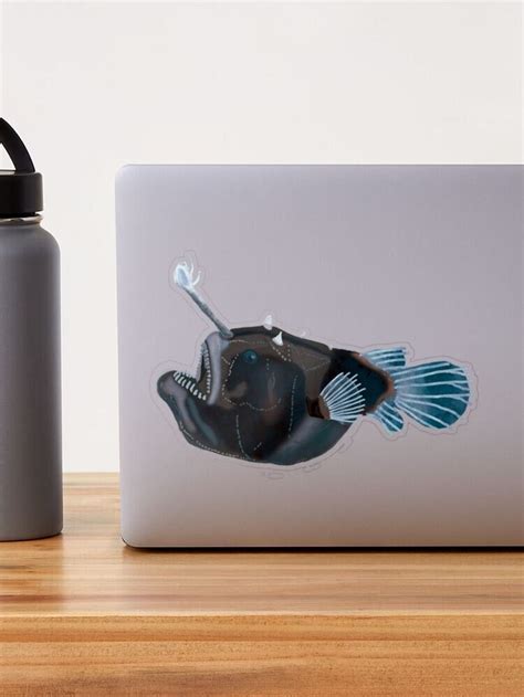 Anglerfish Sticker By Squiddllr Photography For Sale Angler Fish