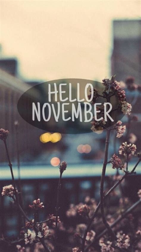 Hello November Wallpapers Kolpaper Awesome Free Hd Wallpapers