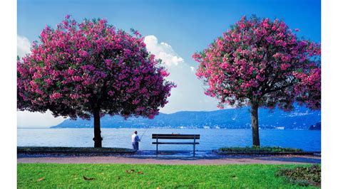 Find your perfect nature wallpaper for your phone, desktop, website and more! Nature Wallpapers 2016 - Wallpaper Cave