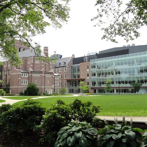 Best Massachusetts Colleges With Counseling Psychology Degrees