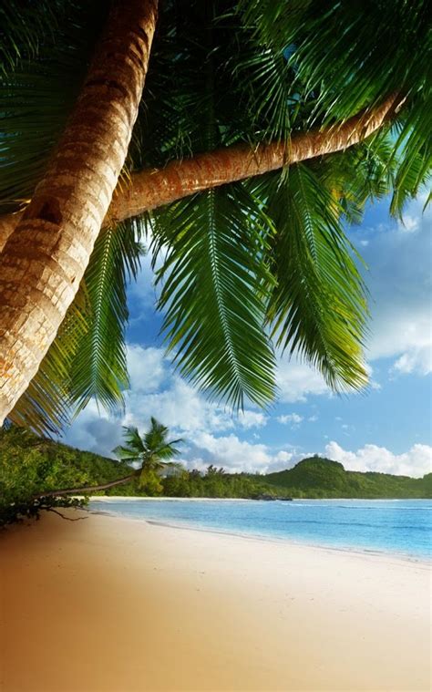 50 Free Tropical Beach Live Wallpaper Wallpapersafari