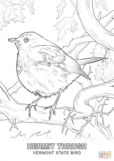 39+ pennsylvania dutch hex signs coloring pages for printing and coloring. Vermont State Bird coloring page | Free Printable Coloring ...