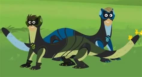 Black Footed Ferret Power | Wild Kratts Wiki | Fandom in 2021 | Black