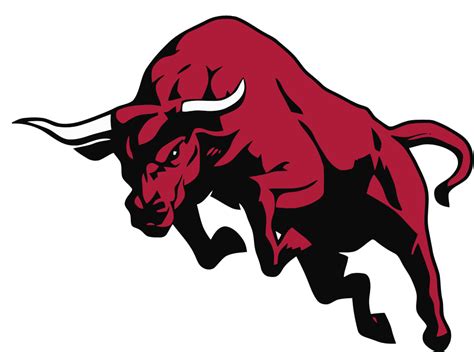 Bulls Logo Em Formato Nike