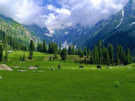 Kumrat Valley Upper Dir Kohistan Khyber Pakhtunkhwa Province 2020