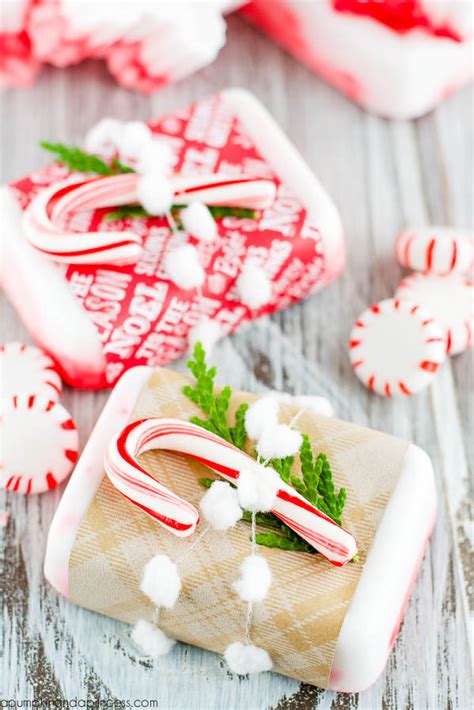 This post includes tips, common terms, and tutorials to help you get started. DIY Peppermint Soap - A Pumpkin And A Princess