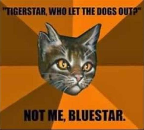 With tenor, maker of gif keyboard, add popular cat memes animated gifs to your conversations. Warriors: Tigerstar