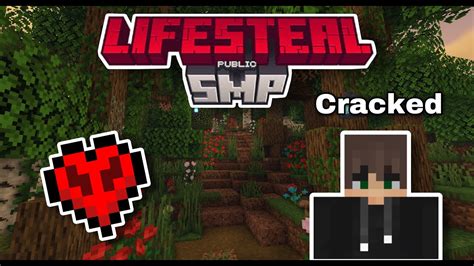 New Lifesteal Smp Cracked Live Ip Discord Youtube