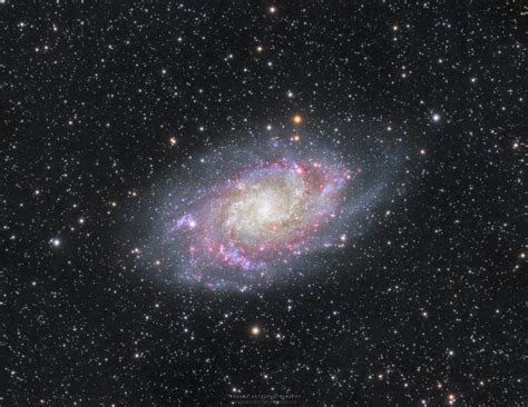 The Triangulum Galaxy In Halrgb M33 Rastronomy