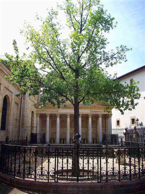 Gernikako Arbola The Tree Of Gernika Ancient Symbol Of Basque Unity