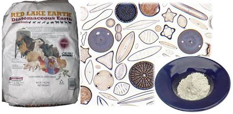 A monthly intestinal cleanse is a great alternative to your normal routine. Ottawa Valley Dog Whisperer : DIY Natural, Herbal ...