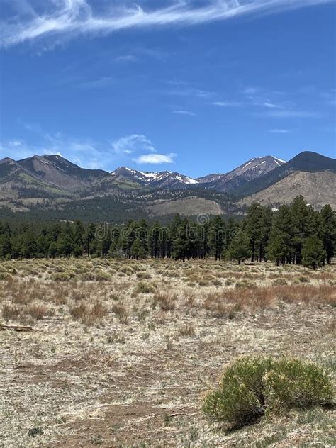 San Francisco Peaks In Flagstaff Arizona Stock Photo Image Of Range