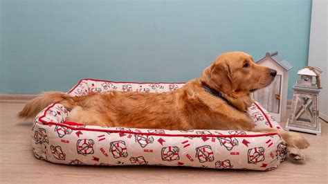 6 Best Dog Beds For Golden Retrievers In 2023