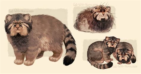 Pallas Cat By Cat With Horns On Deviantart Cat Art Illustration