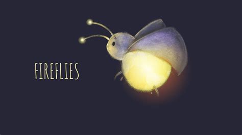 Fireflies By Fireflies Drawings On Deviantart
