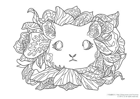 Maybe you would like to learn more about one of these? 아트테라피 꽃일러스트 ♡ 어른 색칠공부 컬러링북 도안 : 꽃 ...