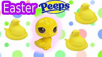 Peeps Easter Marshmallow Candy Lps Chick Pet