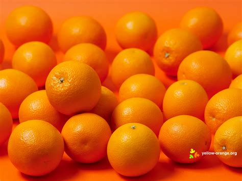 Wallpaper Yellow Tangerine Orange Fruit Citrus Clementine Flower