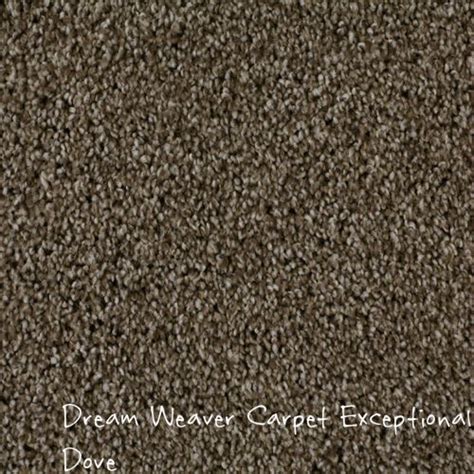 Dream Weaver Exceptional Dove Solution Dyed Bcf Polyester Carpet