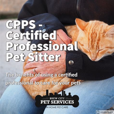 Certified Professional Pet Sitter Brew City Pet Services Llc