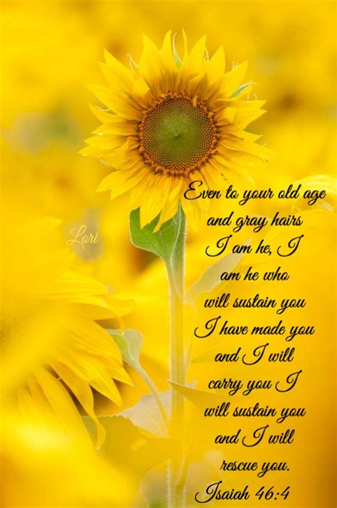 Pin by Lori on Pinning for Yeshua | Sunflower quotes, Scripture verses ...