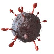 Coronavirus Covid Png Image With Transparent Background Toppng