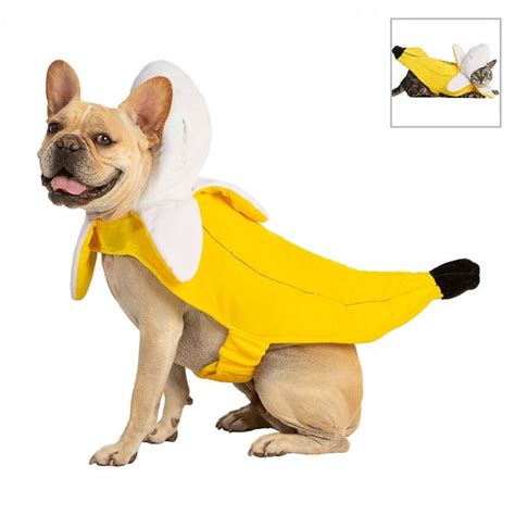 40 Best Dog Halloween Costumes 2021 — Cute Dog Costumes For Halloween